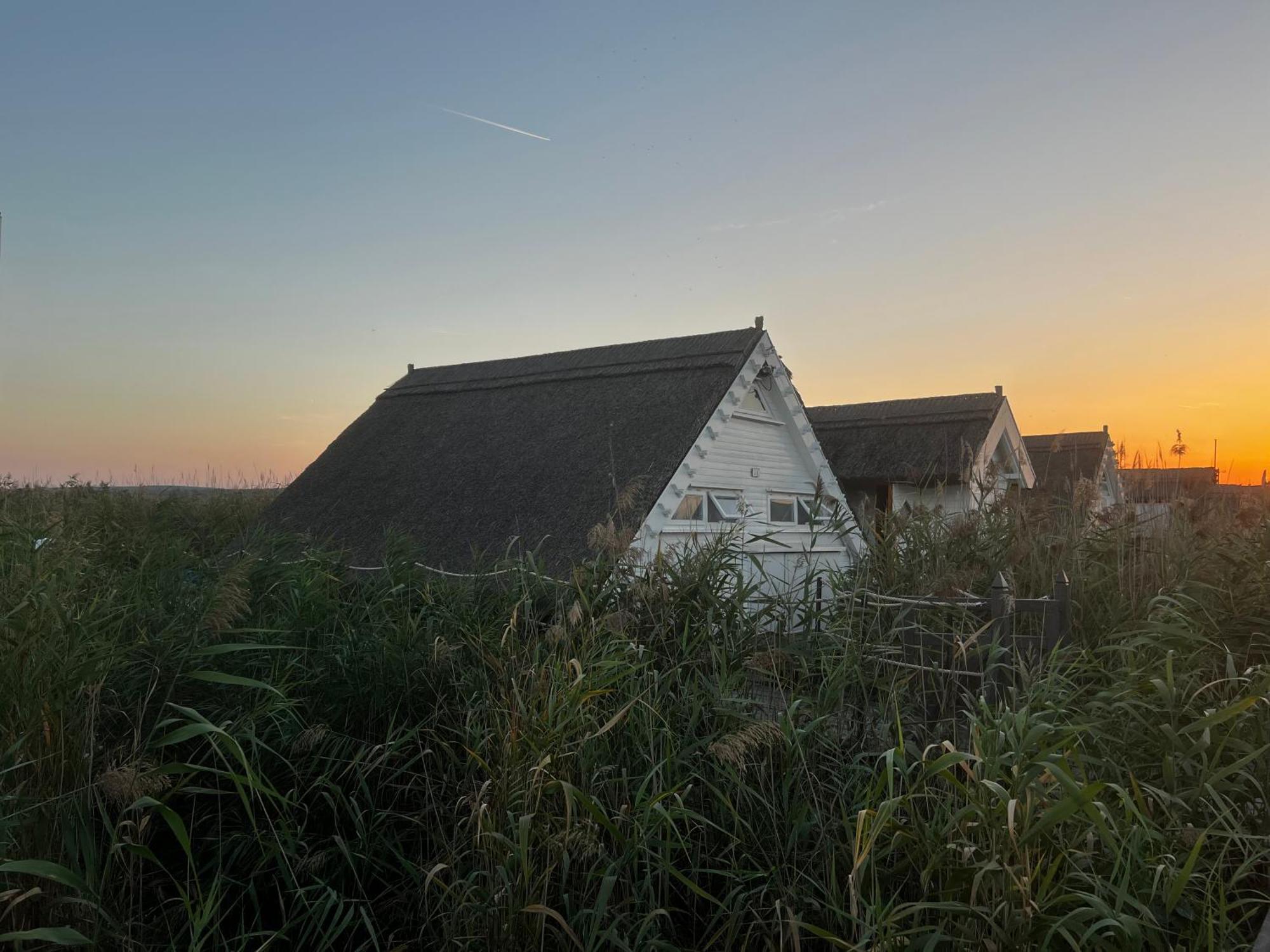 Seehuette Neusiedlersee - Seehaus Inklusive Elektroboot ルスト エクステリア 写真