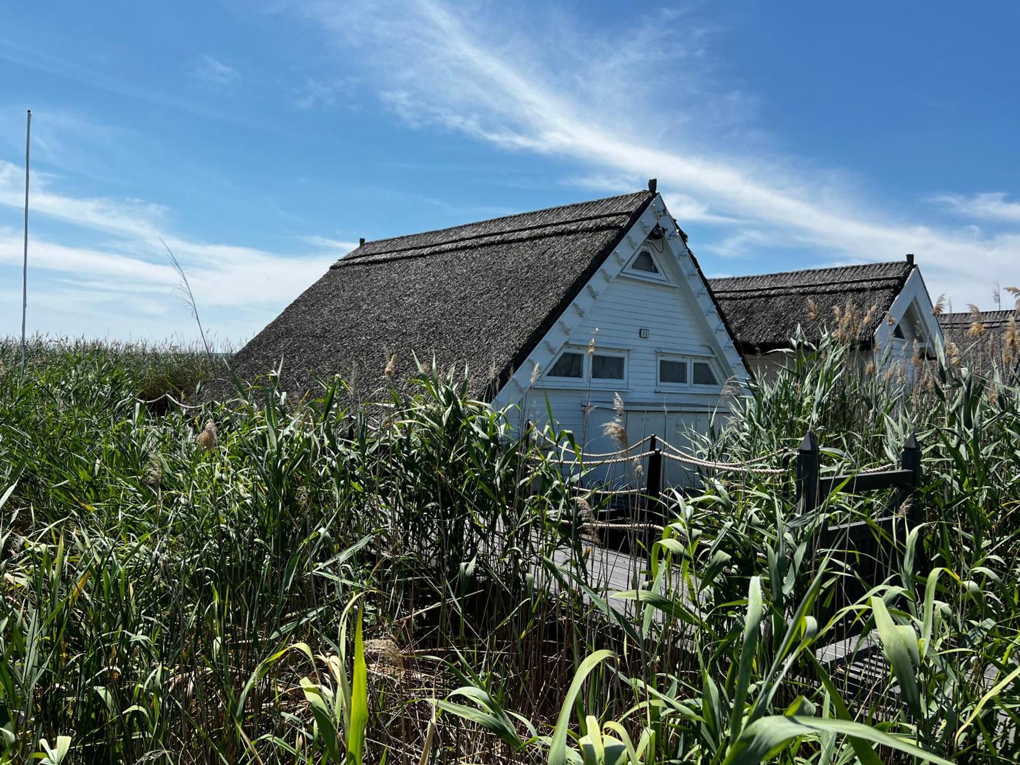 Seehuette Neusiedlersee - Seehaus Inklusive Elektroboot ルスト エクステリア 写真